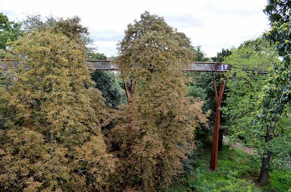 kew-gardens-treetop-walkway-08.jpg