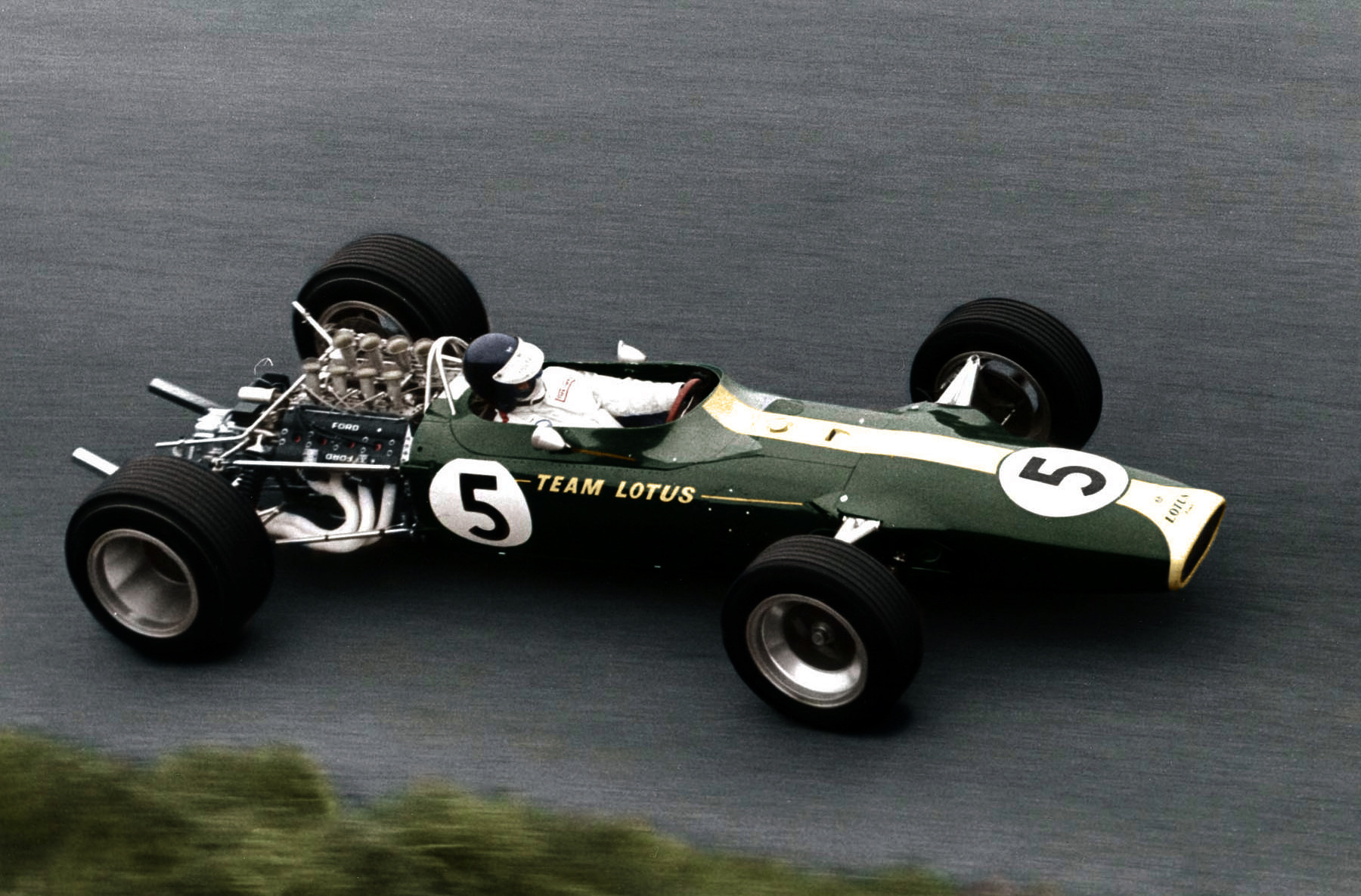 20130129_lotus49.jpg