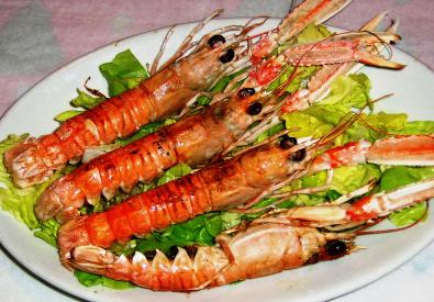 Scampi%20during%20pregnancy.jpg