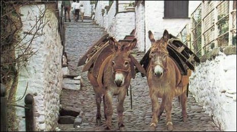 _47496244_clovelly_donkeys_on_hill.jpg