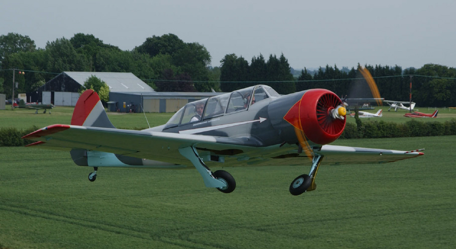 Yak52TD01.jpg