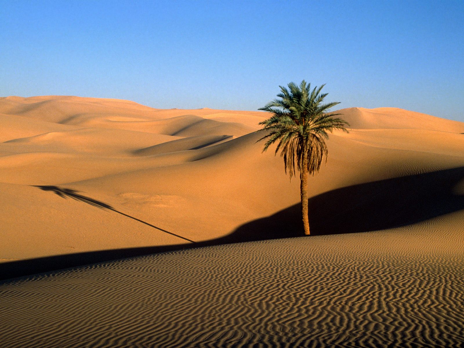 sahara_desert.jpg