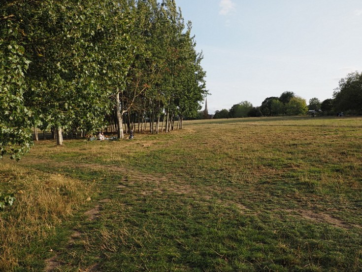 In photos: Brockwell Park Extinction Rebellion camp aftermath 