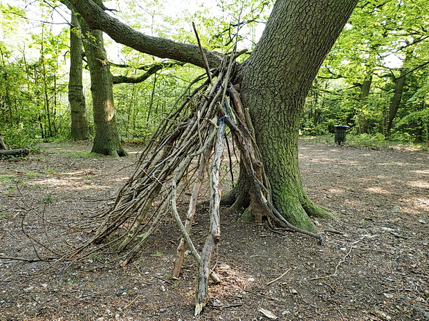 In photos: A sunny walk around Streatham Common and The Rookery