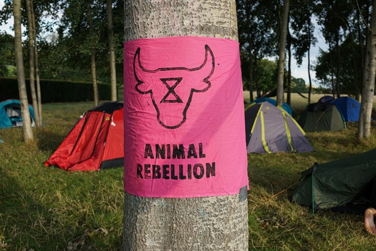 In photos: Extinction Rebellion camp in Brockwell Park, south London