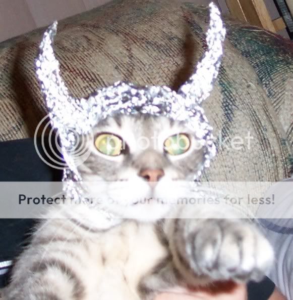 catInTinfoil.jpg