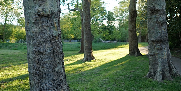 Tivoli Park - a small open space on the top of Knight's Hill. West Norwood, SE27