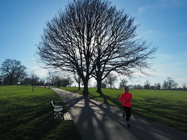 In photos: Spring in Brockwell Park - trees, blue skies and shadows, March 2020