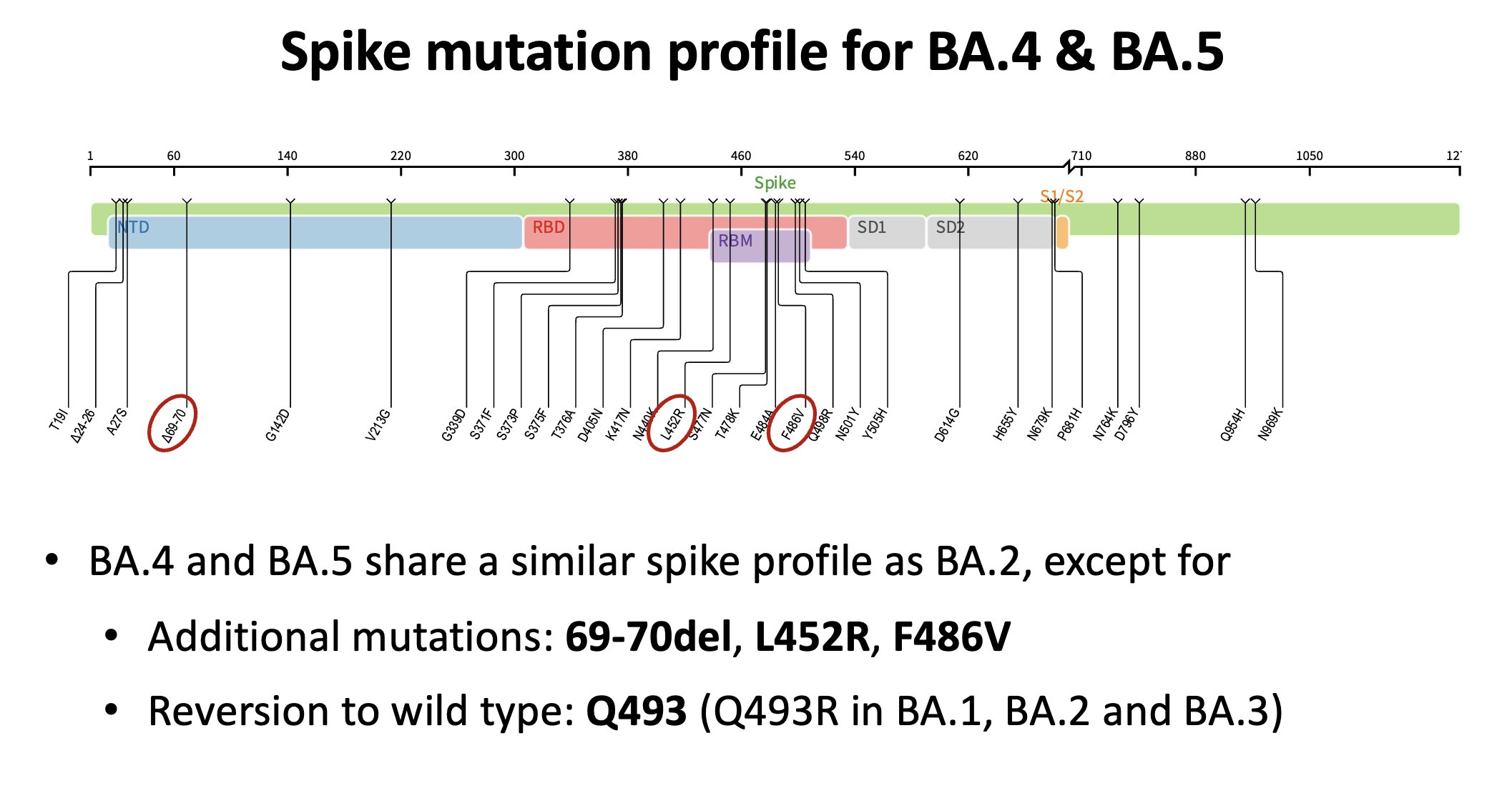 Spike mutation profile for BA.4, BA.5.