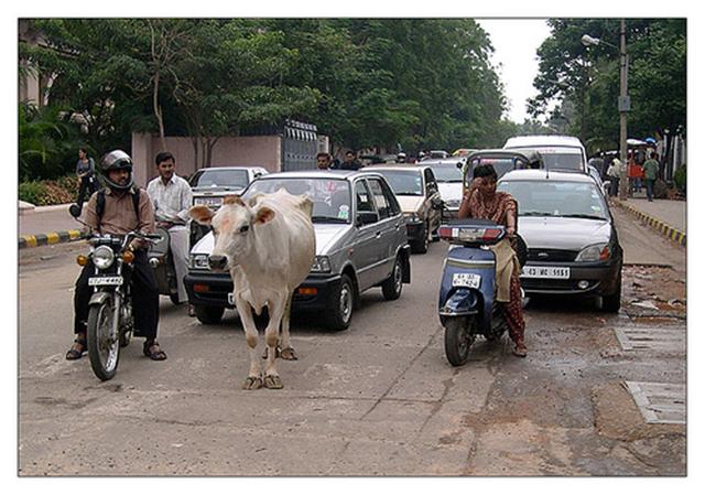 BangaloreTraffic1.jpg