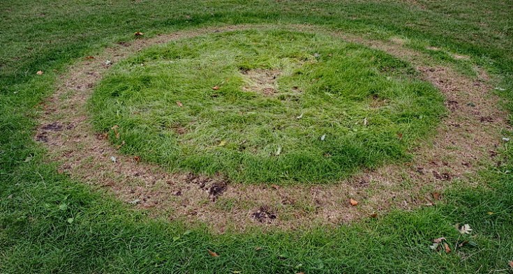 The crop circles of Brockwell Park (after the funfair has gone) - series of attract photos