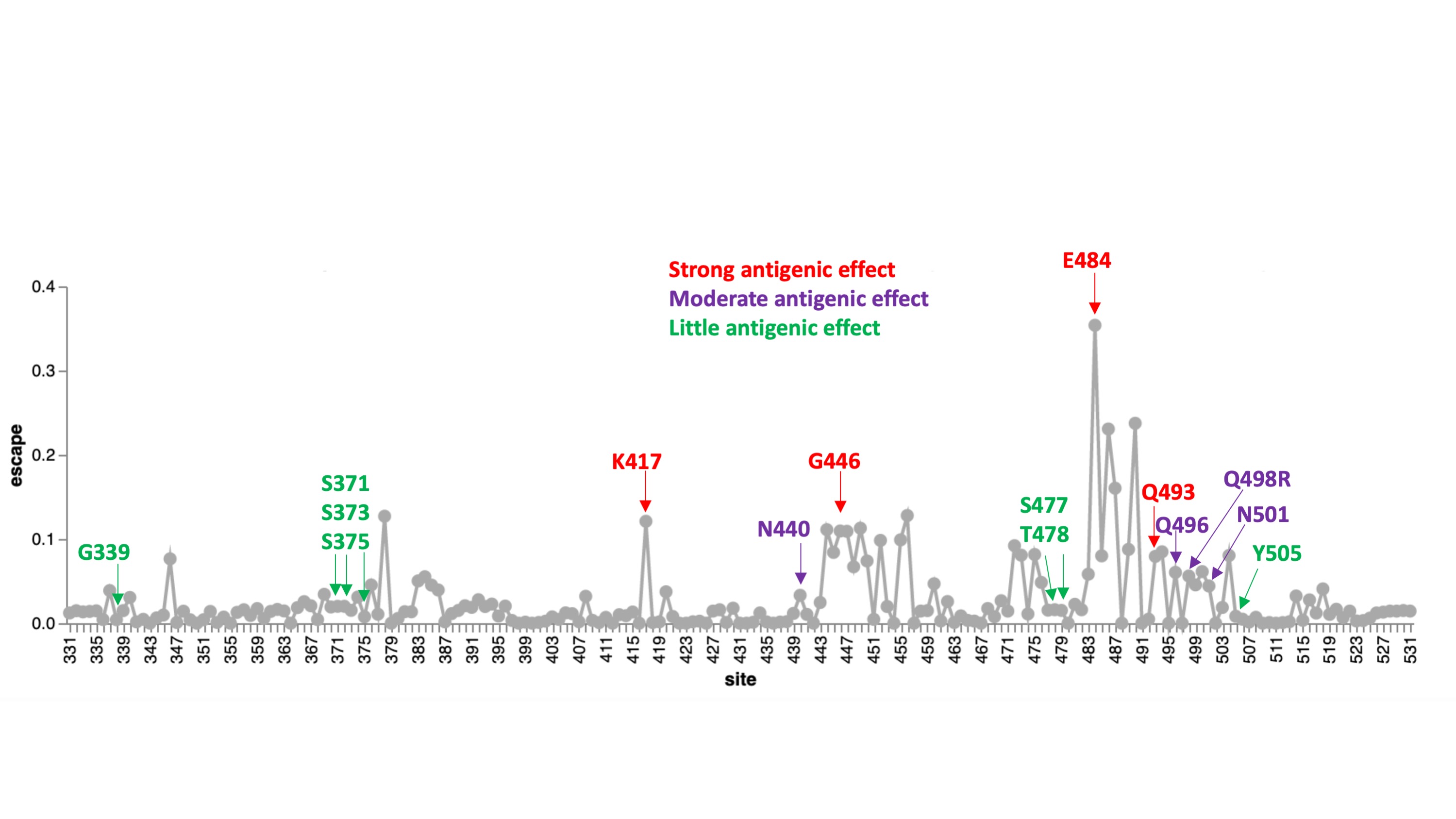 B.1.1.529 antigenic escape map averaged over numerous key antibodies.