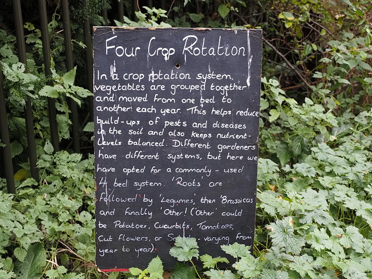 In photos: A look around the Brockwell Park Community Greenhouses in winter