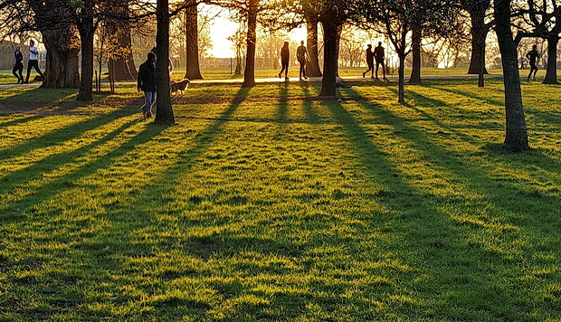 Brockwell Park photo feature: dramatic skies and a striking sunset , March 2020