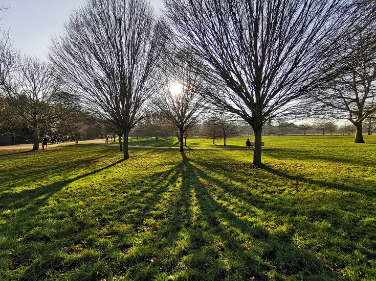 Brockwell Park winter sun, shadows and crowds, Sat 9th Jan 2021