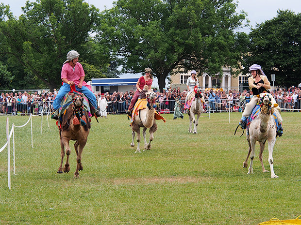 lambeth-country-show-2013-10.jpg