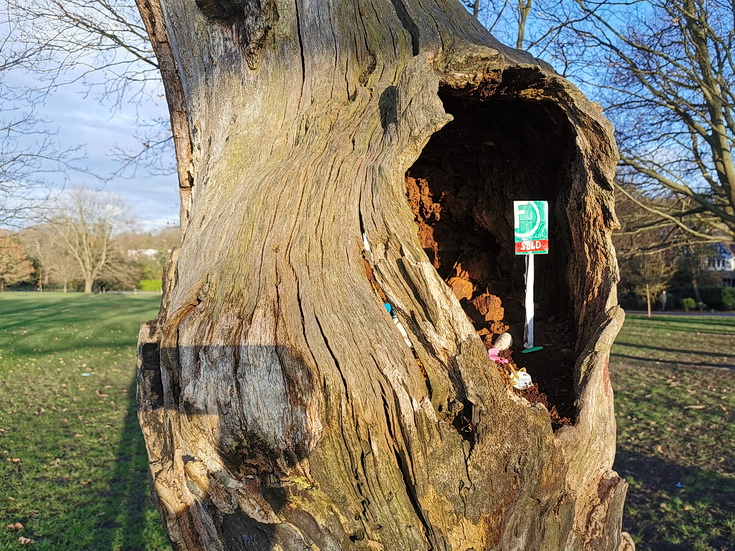 Sold! The tiny flat inside a tree in Brockwell park